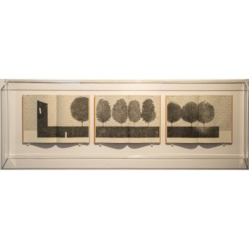 Andrea Cerquiglini - Giardini segreti