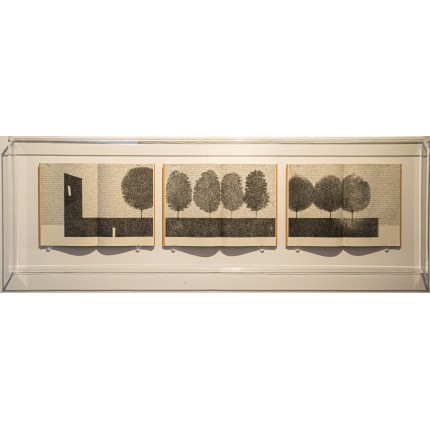 Andrea Cerquiglini - Giardini segreti