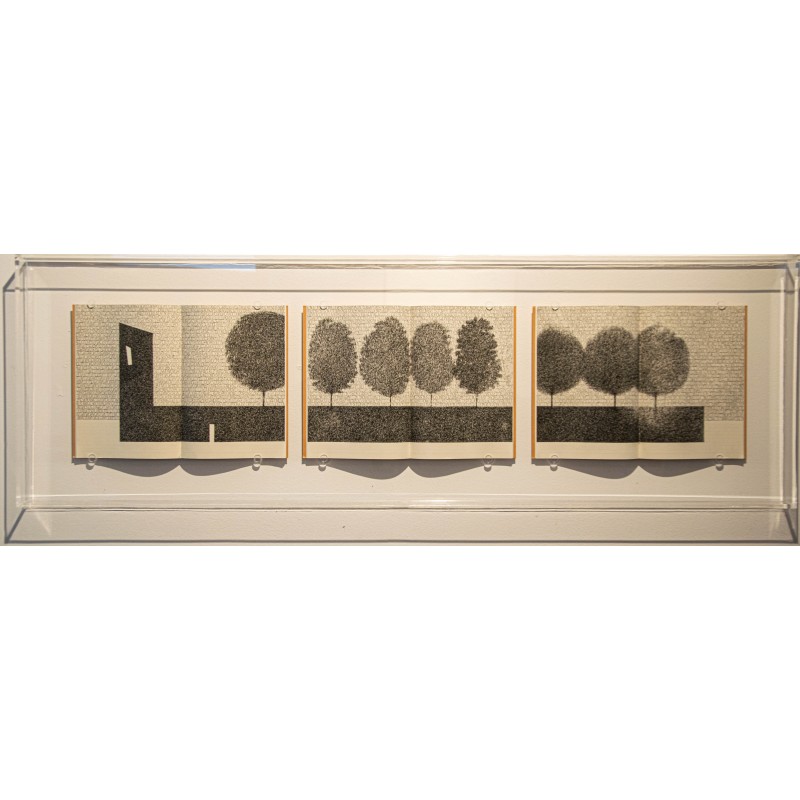 Andrea Cerquiglini - Giardini segreti