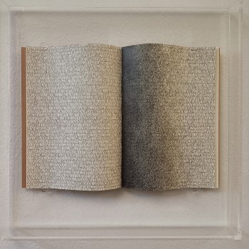 Untitled - Andrea Cerquiglini - Dedalo Gallery